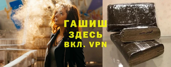 стафф Ельня