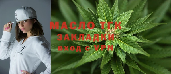 стафф Ельня