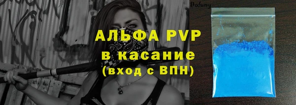 стафф Ельня