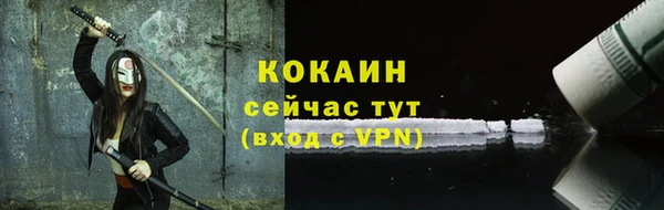 стафф Ельня