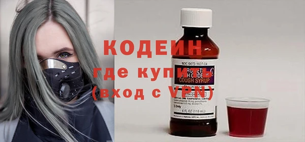 стафф Ельня