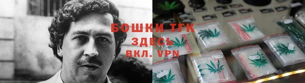 стафф Ельня