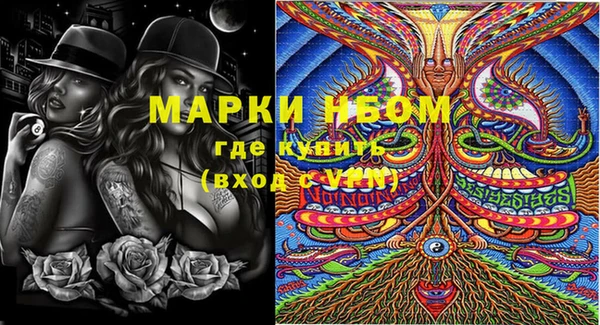 стафф Ельня