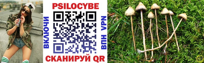купить закладку  Кызыл  Галлюциногенные грибы Psilocybe 